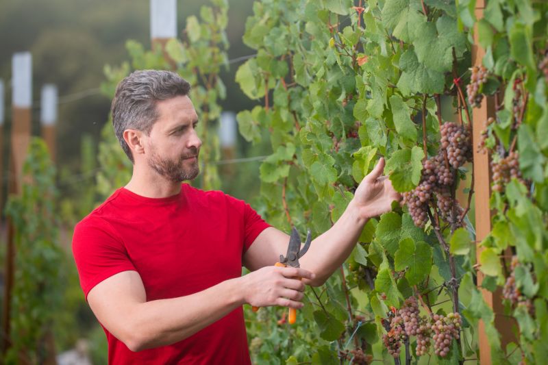 Best Siding Replacement pros in Grapevine, TX